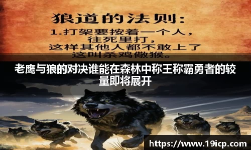 老鹰与狼的对决谁能在森林中称王称霸勇者的较量即将展开